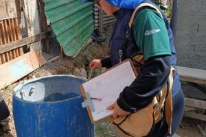 Combate à dengue em PG