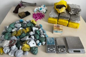 Operação Parasita em Palmeira apreendeu drogas
