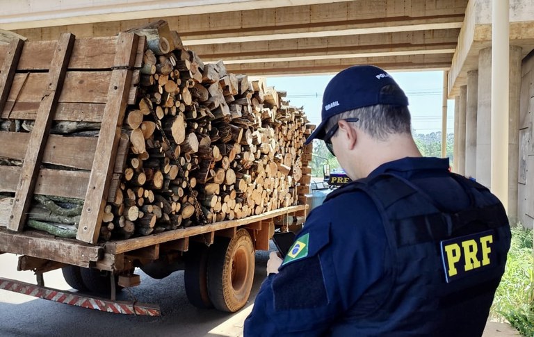 Caminhão carregado com tora de madeiras foi interceptado pelo fato de o motorista usar corda no lugar do cinto de segurança