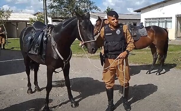 Policial e cavalo realizando um descanso antes de embarcar no veículo de Carga Viva, para dar início a um patrulhamento.