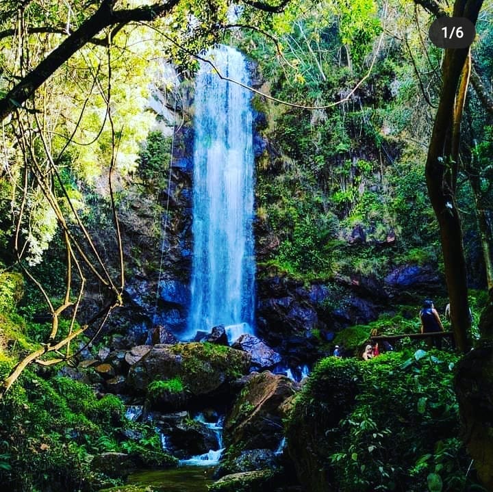 Salto Puxa Nervos