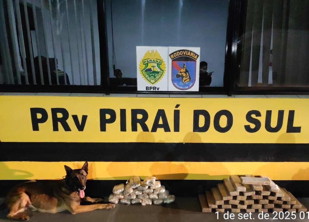 Cão Máximus posa ao lado das drogas apreendidas