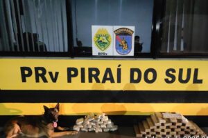 Cão Máximus posa ao lado das drogas apreendidas