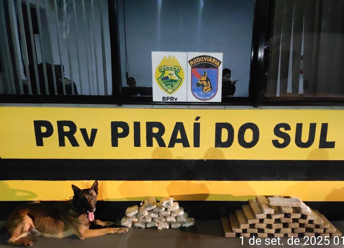 Cão Máximus posa ao lado das drogas apreendidas