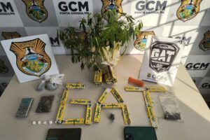 Divulgação GCM