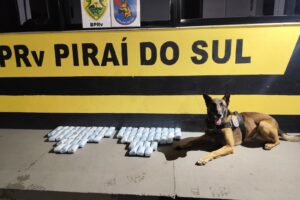 Cão Máximus e mais recente apreensão de entorpecentes da qual participou
