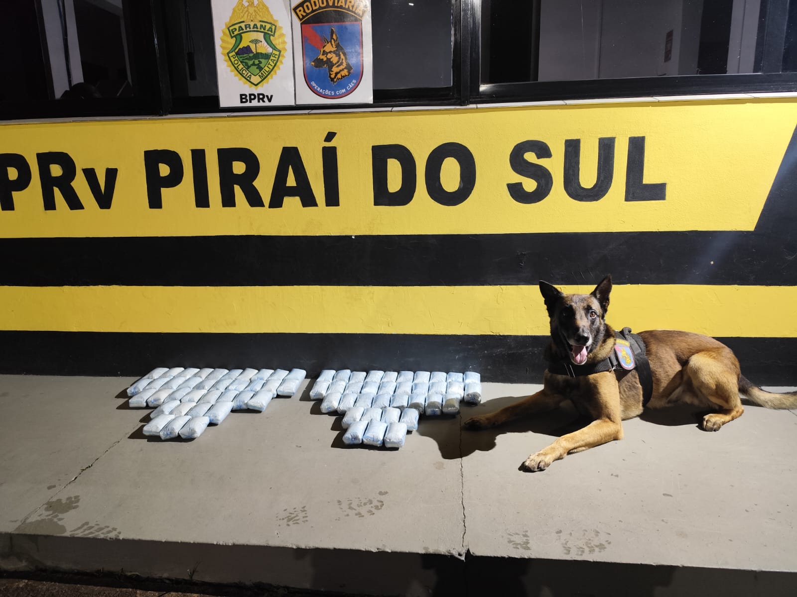 Cão Máximus e mais recente apreensão de entorpecentes da qual participou