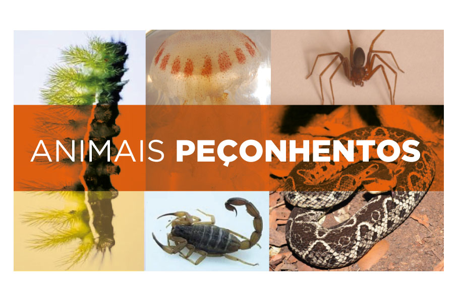 animais