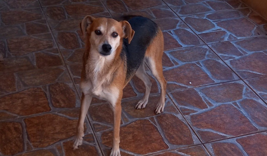 Bety, de volta à sua casa, olhando para a câmera
