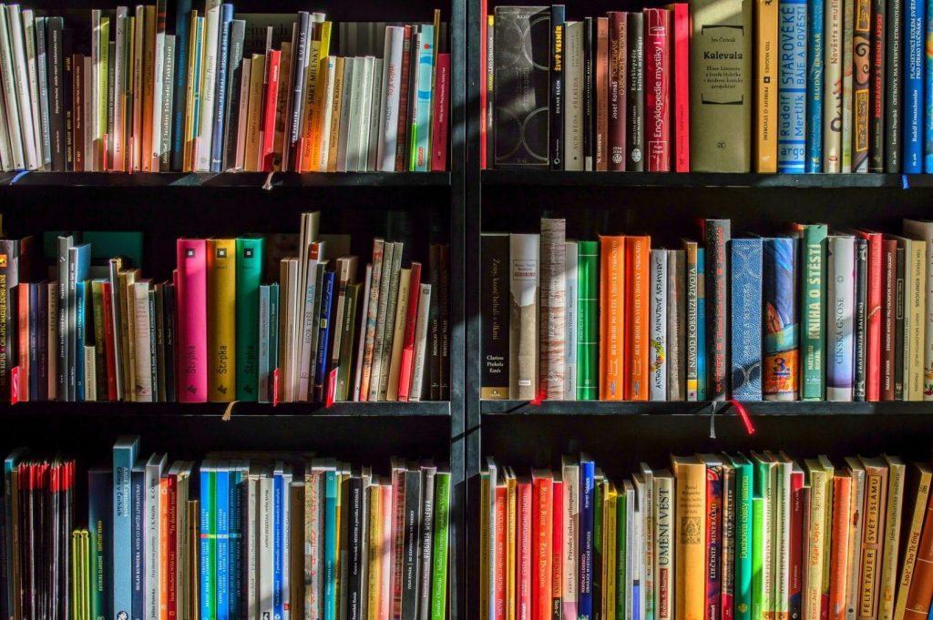 Foto de Biblioteca ilustra Concurso Literário em PG