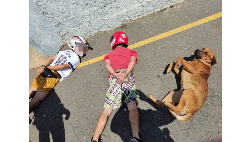Foto de cachorro caramelo em abordagem policial