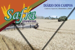 Safra 2020