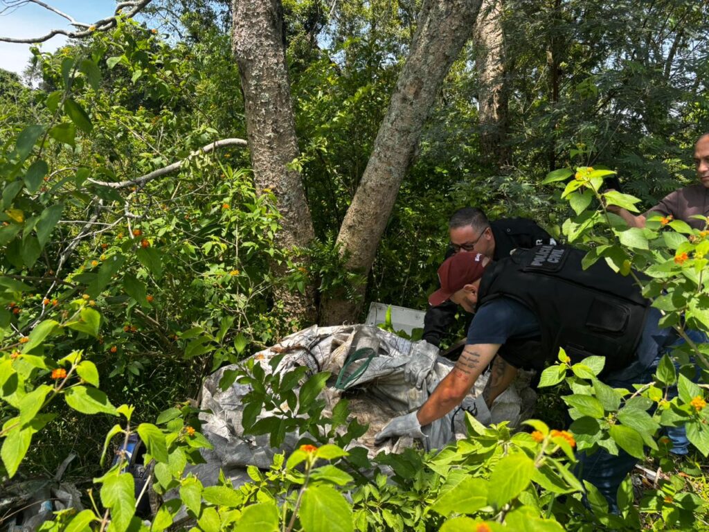Policiais fazem perícia em área de mata após localizarem corpo de homem desaparecido, em Porto Amazonas
