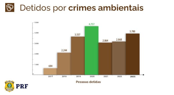 crimes ambientais
