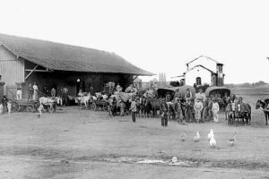 Carroceiros no Centro de Ponta Grossa em 1906