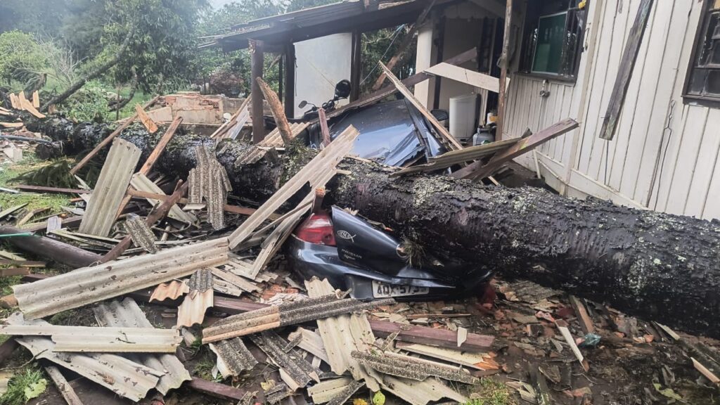 Árvore que atingiu telhado e carro em Carambeí