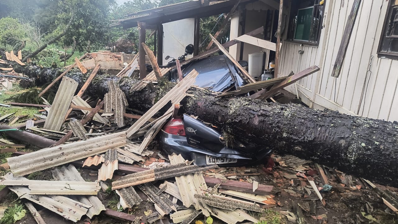 Árvore que atingiu telhado e carro em Carambeí