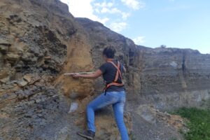 Foto da floresta fossilizada achada nos campos gerais