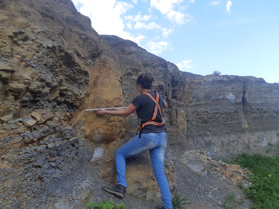 Foto da floresta fossilizada achada nos campos gerais