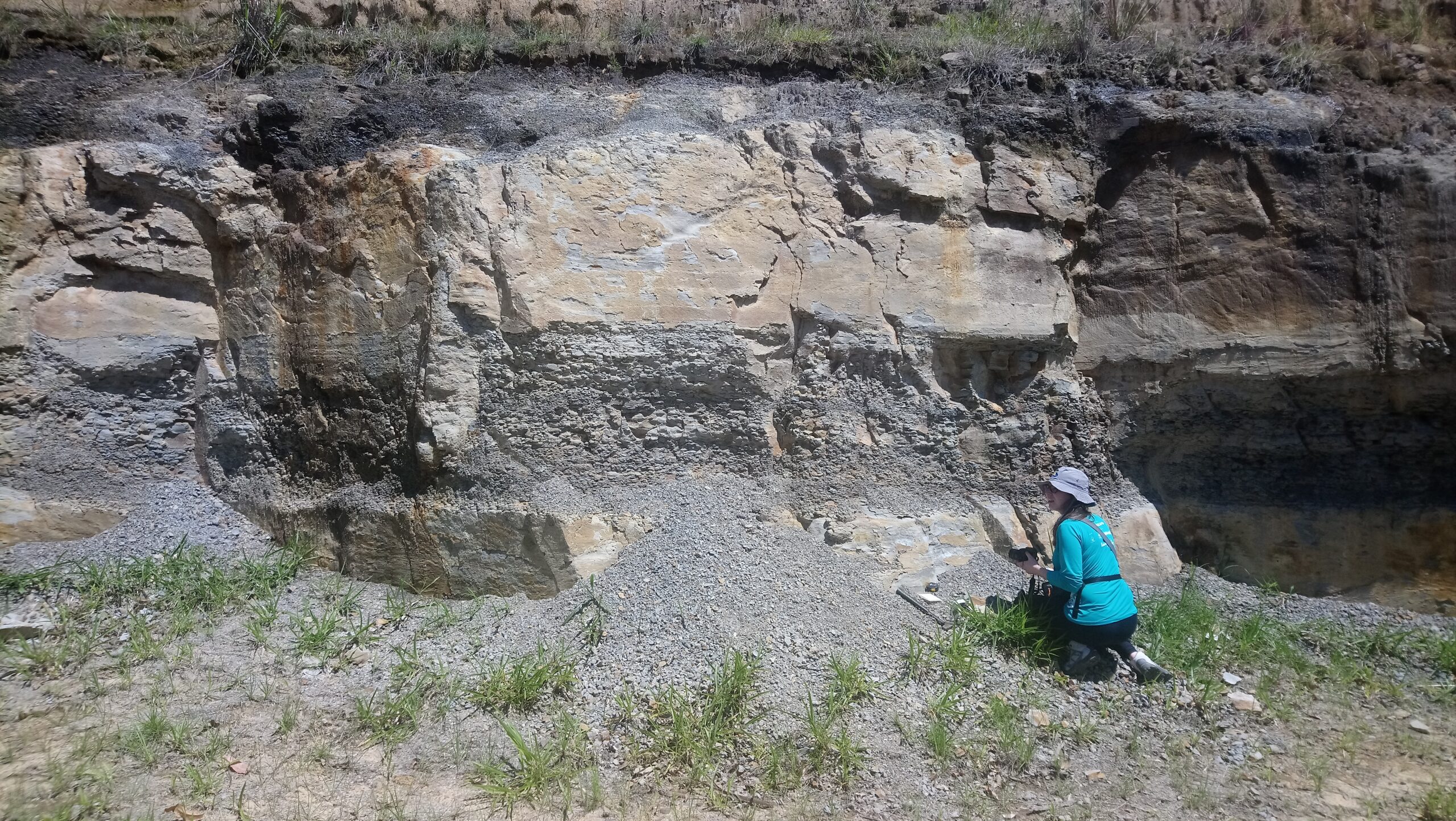 Foto da floresta fossilizada achada nos campos gerais