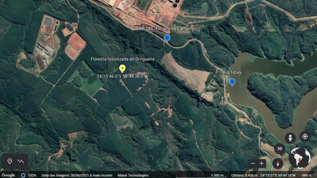 Foto da localização da floresta fossilizada achada nos campos gerais