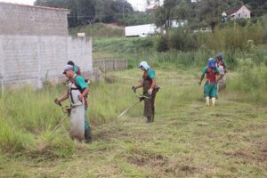 Limpeza de terrenos