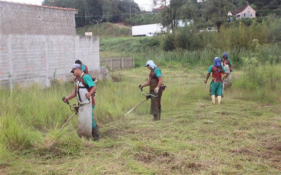Limpeza de terrenos