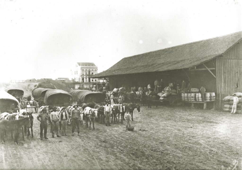 Carroceiros estacionados diante de armazém na Rua Benjamin Constant, em Ponta Grossa, possivelmente na década de 1920