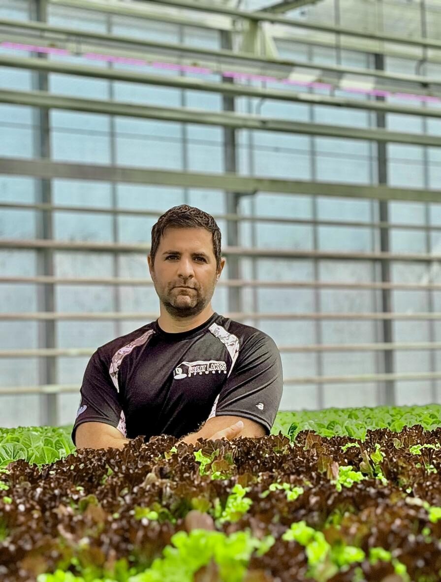 Renato Zardo, agricultor nos EUA, em plantação hidropônica.