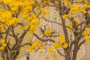 pista de atletismo da UEPG