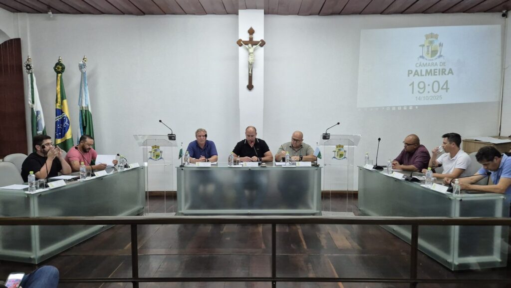 Vereadores de Palmeira em sessão ordinária