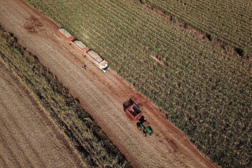 Foto de colheitadeira no Paraná