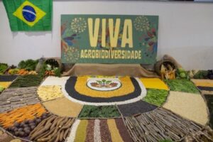 Sementes e alimentos orgânicos montados em mandala para feira de Teixeira Soares.
