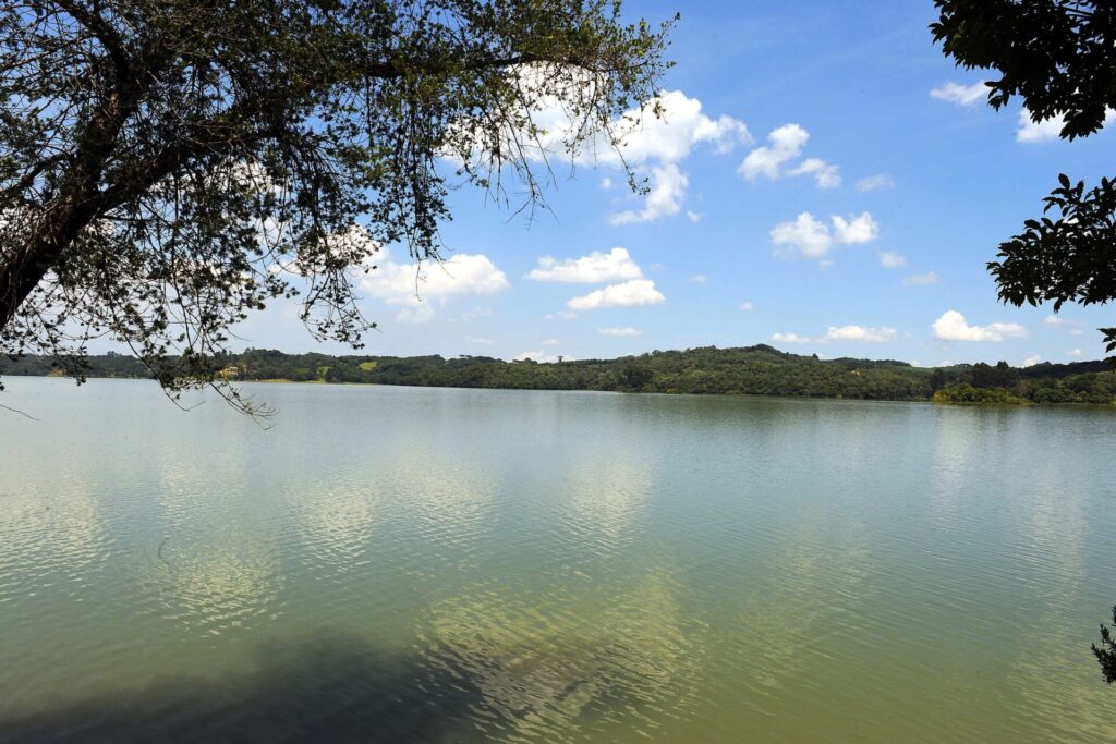 Leito do Rio Tibagi em Dia Ensolarado. Sanepar é acionada judicialmente