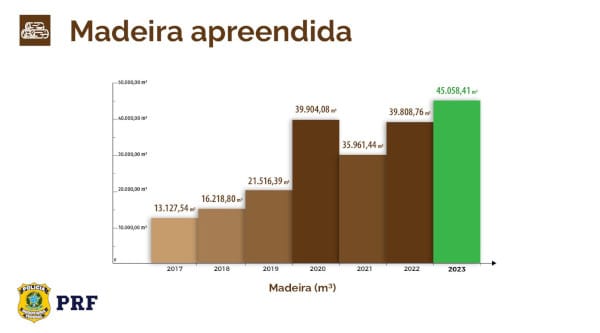 madeira apreendida
