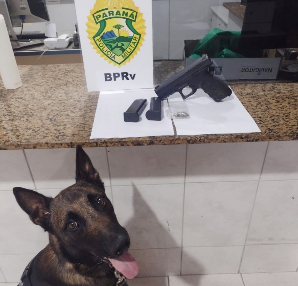 Cão Maximus em apreensão de arma em Morretes