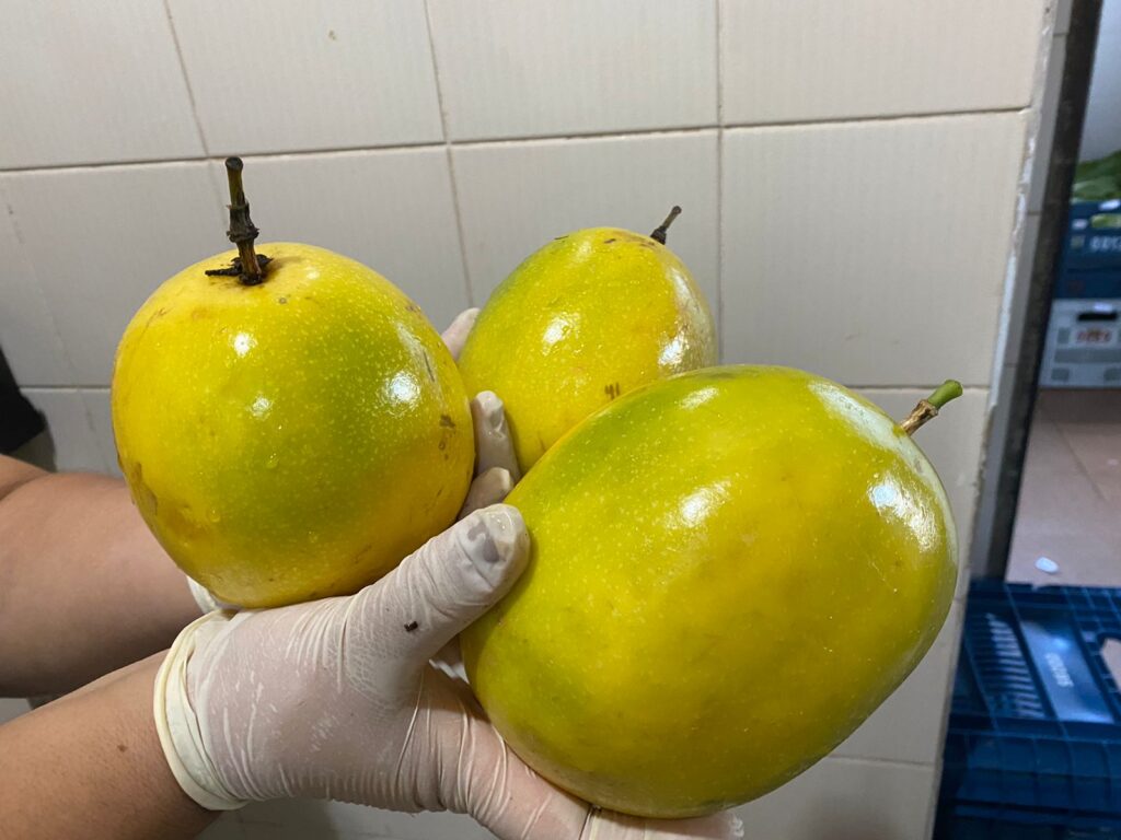 Foto de maracujás da merenda escolar de Arapoti