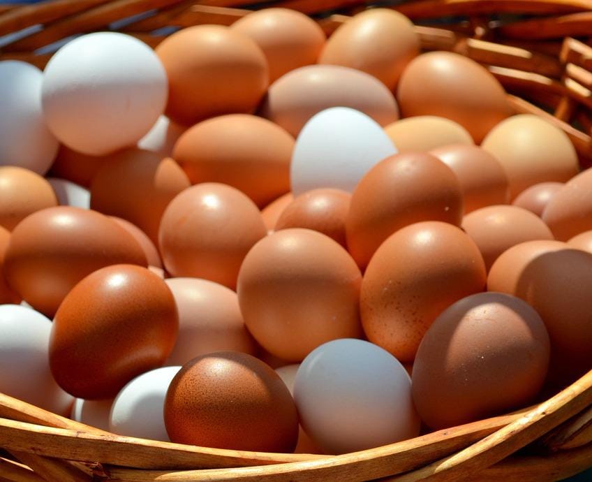 Foto ilustrativa de ovos em cesta