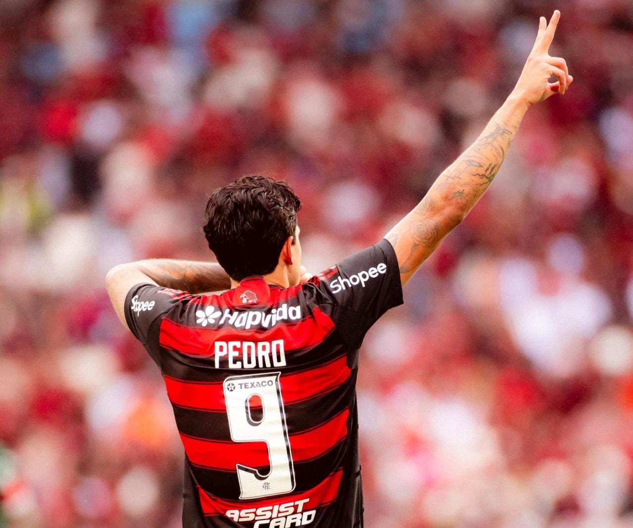 Pedro comemorando o terceiro gol do Flamengo no jogo contra o Palmeiras
