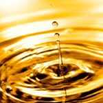 percentual de biodiesel
