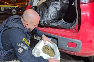 Carga de supermaconha apreendida pela Polícia Rodoviária Federal (PRF) em Guarapuava (PR)