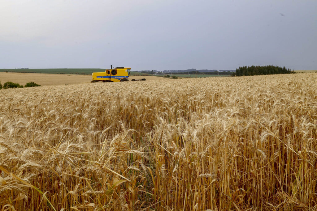 Agroinddustrialização no Paraná