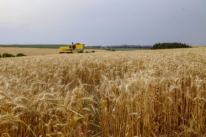 Agroinddustrialização no Paraná
