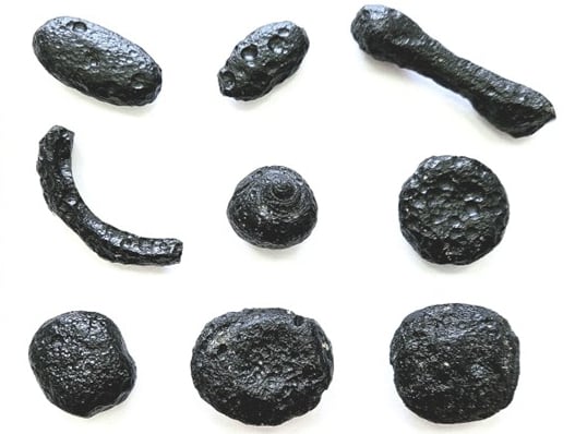 56954
