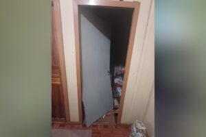 Imagens horizontais (1)