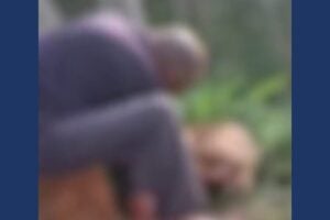 Imagens horizontais (4)