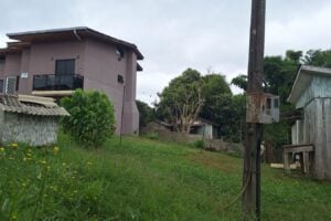 Enxame está abrigado no canto da casa à esquerda