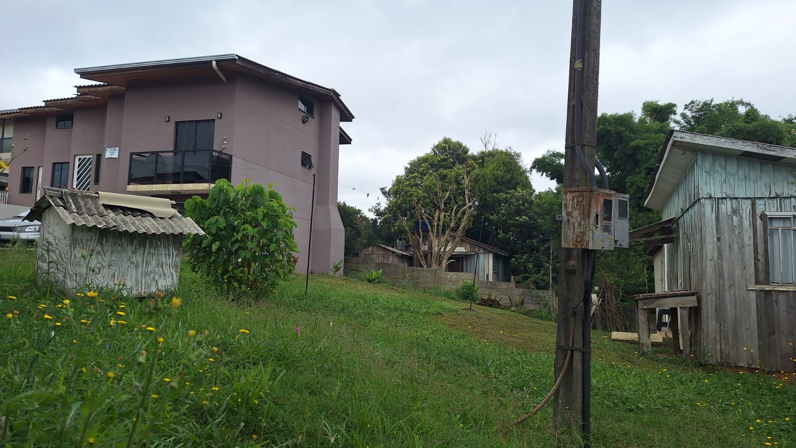 Enxame está abrigado no canto da casa à esquerda