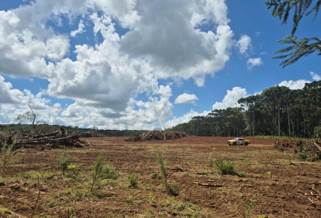 PC_X_Crime ambiental guamiranga (4)