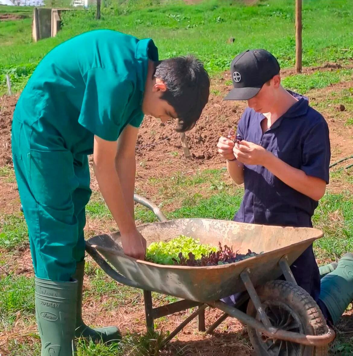 Alunos da Educação agrícola técnica em Castro